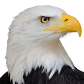 QR code for Micro-channel public platform